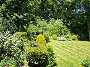 Photo 14- click for photo gallery